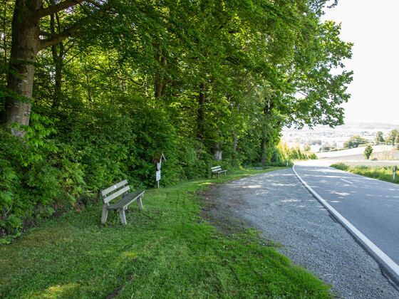 Bänke-an-der-Straße