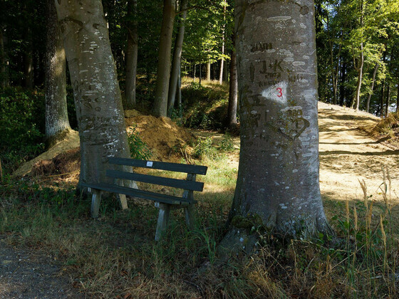 bild-17261505