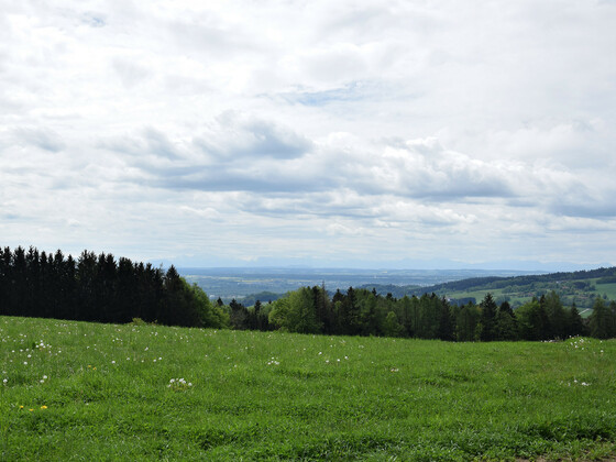 ausblick-richtung-inntal-alpen-in-fuerstberg_carmen-tomandl