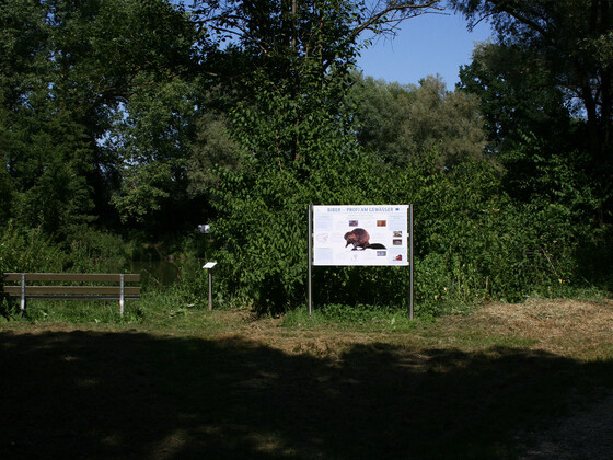bild-14532111