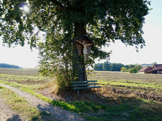 bild-17213098