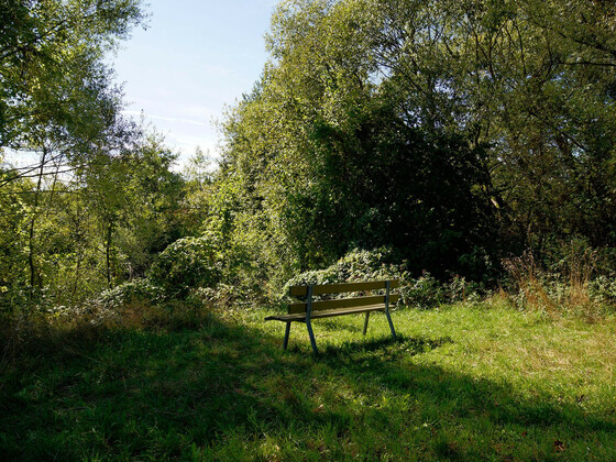 bild-17261857