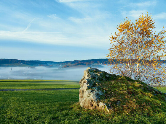 bild-13754980