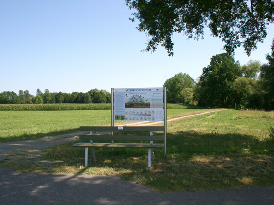 bild-14532099
