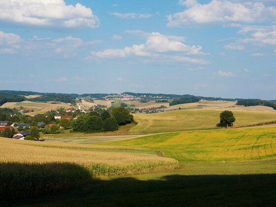 bild-17261739