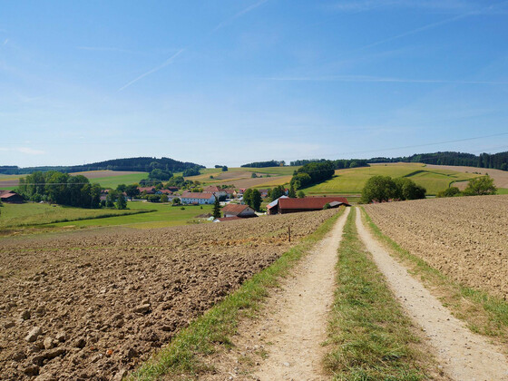 bild-17261487