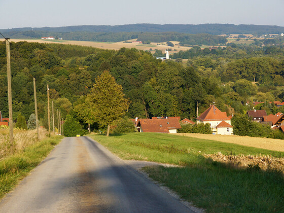 bild-17262504