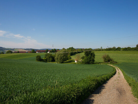 Blick-auf-Kapelle