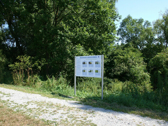 bild-14532154