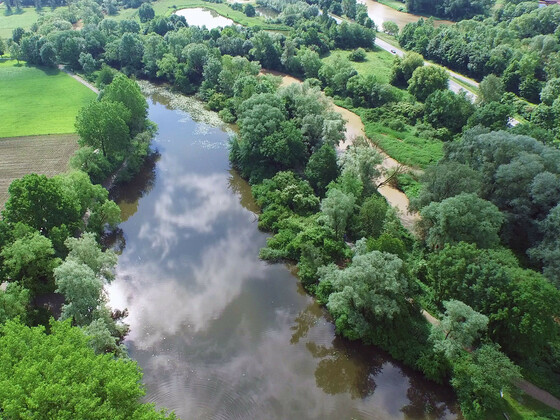 neues bild für angelweiher