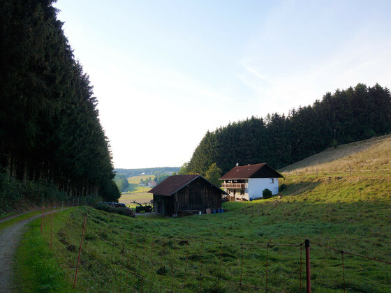 bild-17262571