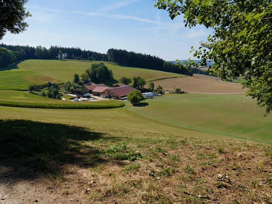 bild-17261495