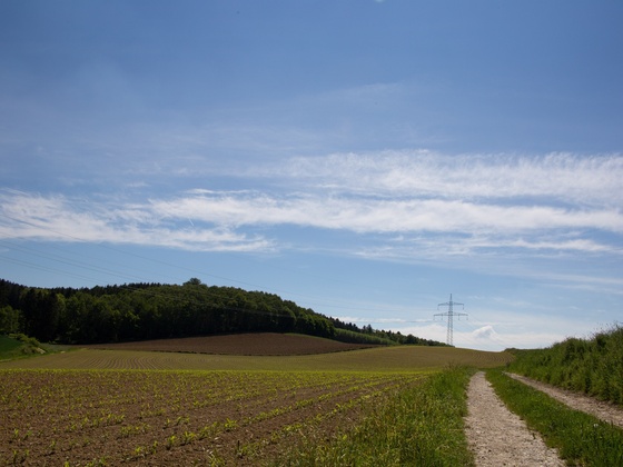 Kiesweg-Grottham