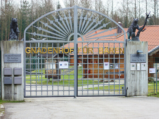 bild-12926269