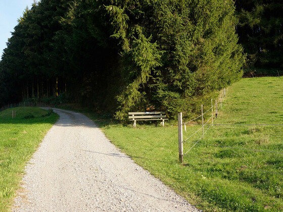 bild-17262584