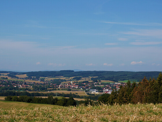 bild-17213062