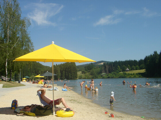 bild-19244690
