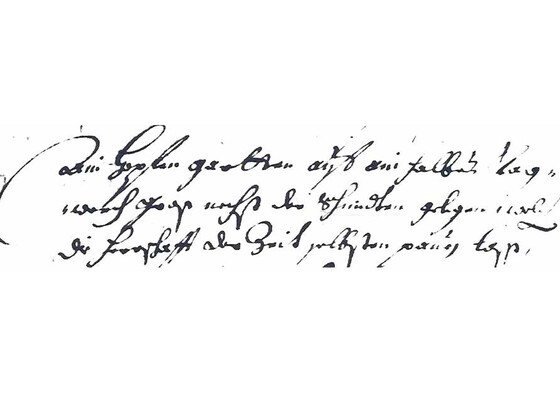 auszug-aus-dem-sal-buch-ueber-die-lage-eines-hopfengartens-