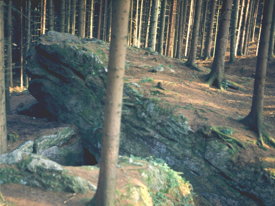 bild-15725018