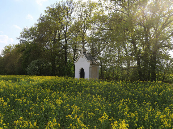 senfltkapelle