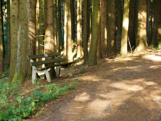 bild-17261718