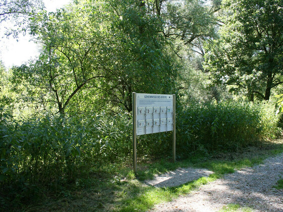 bild-14532118