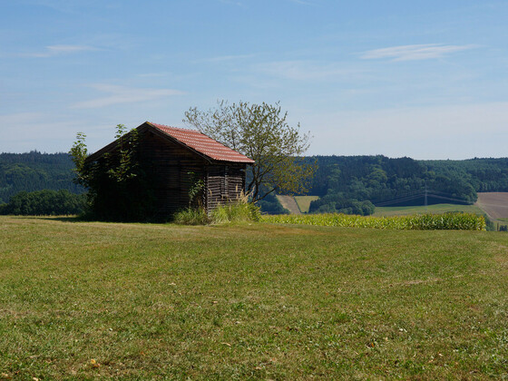bild-17261431