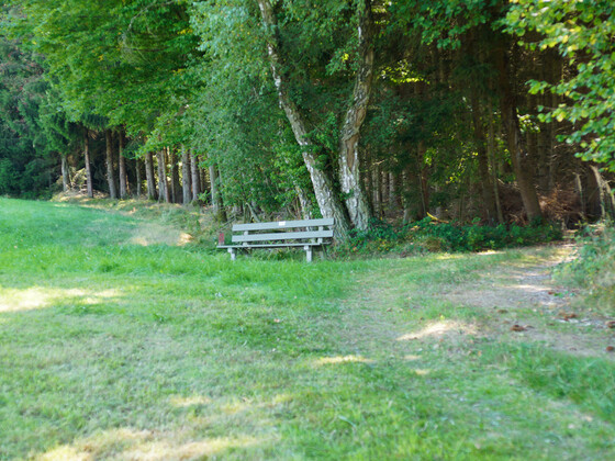 bild-17261570