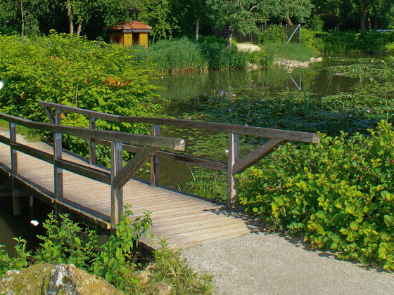 bild-12336625