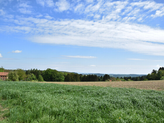 ausblick-richtung-kirnbachtal_bayerisher-wald-in-fuerstberg_carmen-tomandl