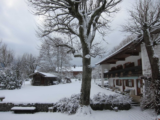 winterlicher Garten 1