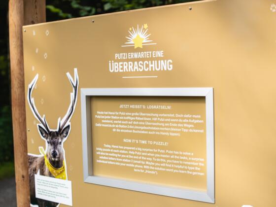 Überraschung gefällig?