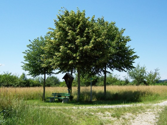 Marterl bei Bergham