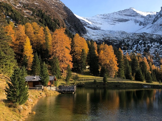 Grieralm