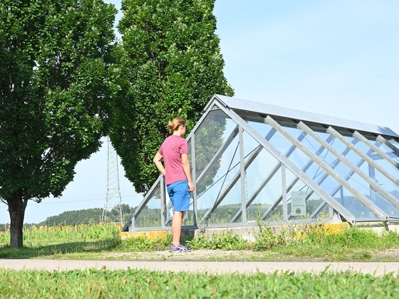 Römerofen in Germering