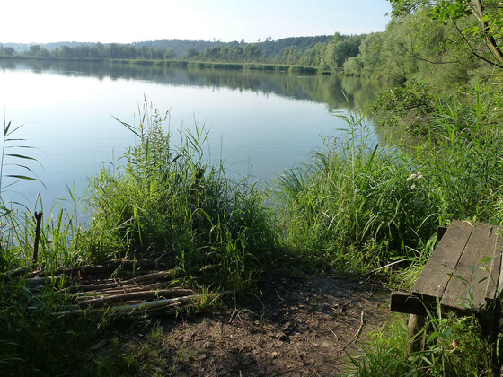 bild-15745488
