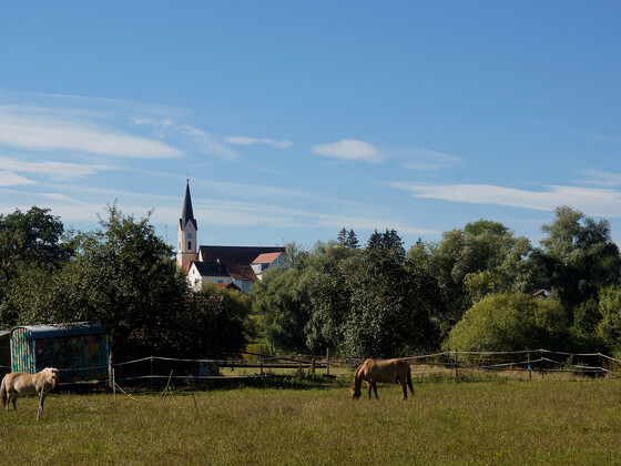bild-17262244