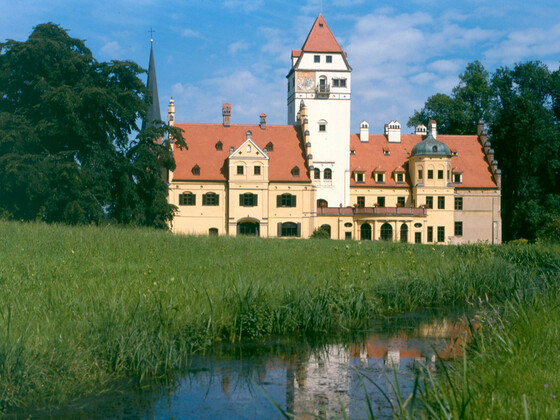 bild-16569528