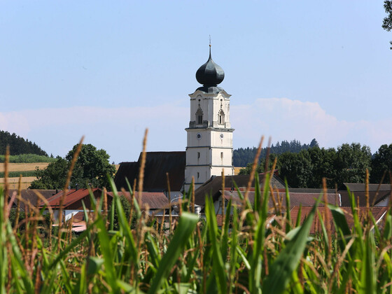 bild-15258684
