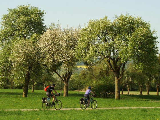 Donauradweg