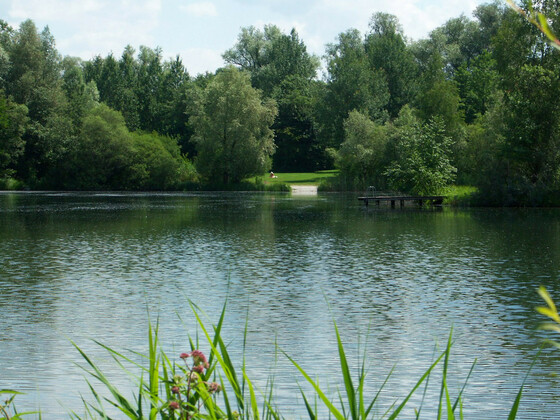 bild-20485331