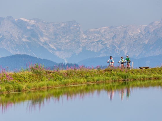 MTB Daarmoossee