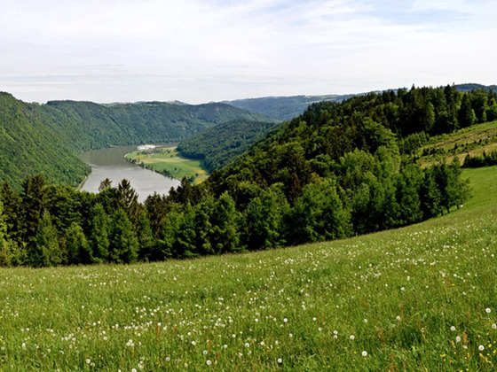Panoramablick Kerschbaum