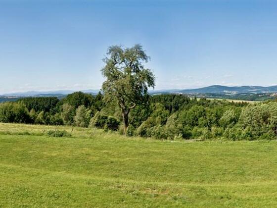 Panoramablick Freinberg