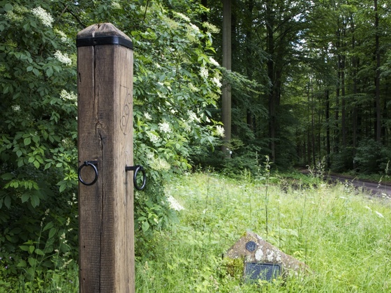 Echterspfahl