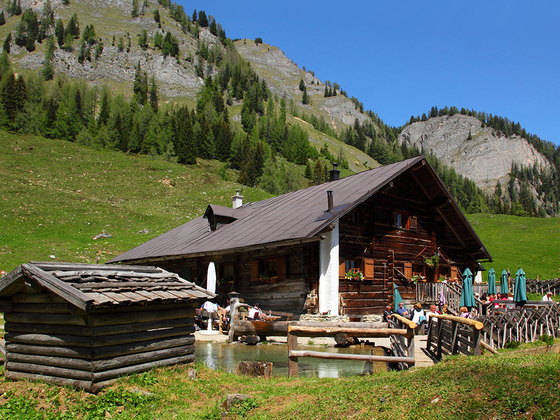 Igltalalm (Niggeltalalm)