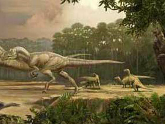 Urweltmuseum Neiderhell in Kleinholzhausen bei Raubling.