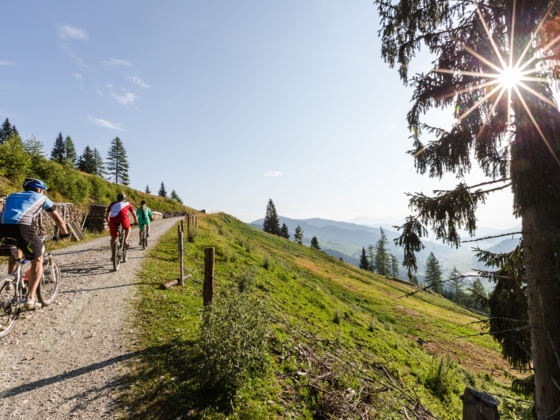MTB
