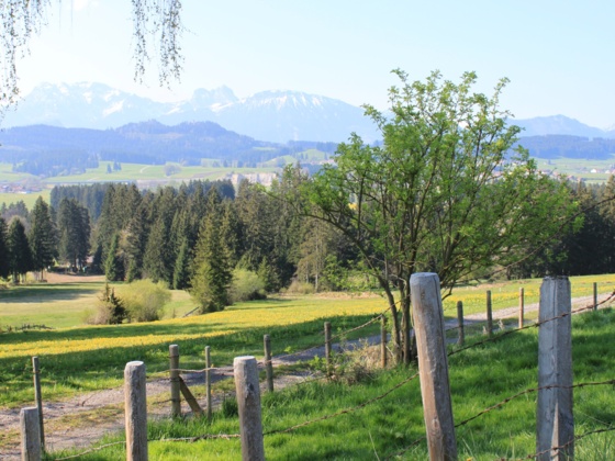 Seeg - Wandern mit Aussicht