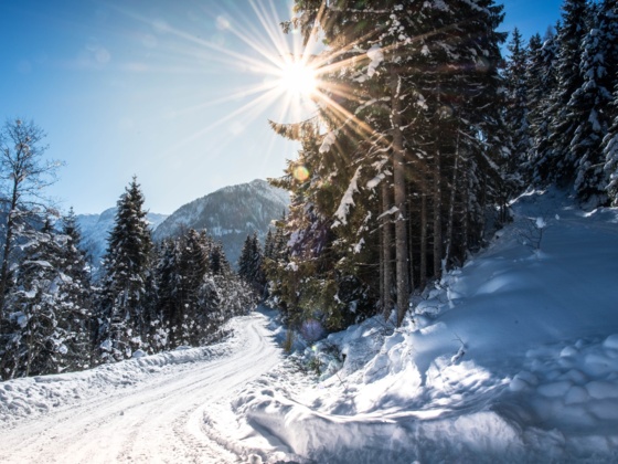 Am Winterwanderweg hoch zur Winklalm
